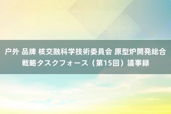 户外 品牌 核交融科学技術委員会 原型炉開発総合戦略タスクフォース（第15回）　議事録