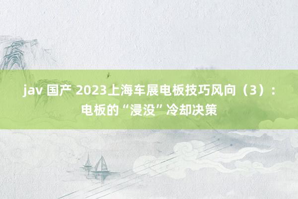 jav 国产 2023上海车展电板技巧风向（3）：电板的“浸没”冷却决策