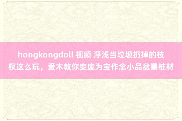 hongkongdoll 视频 浮浅当垃圾扔掉的枝杈这么玩，爱木教你变废为宝作念小品盆景桩材