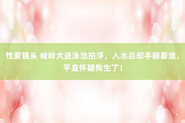 性爱镜头 峻岭犬进泳池拍浮，入水后却手脚着地，平直怀疑狗生了！