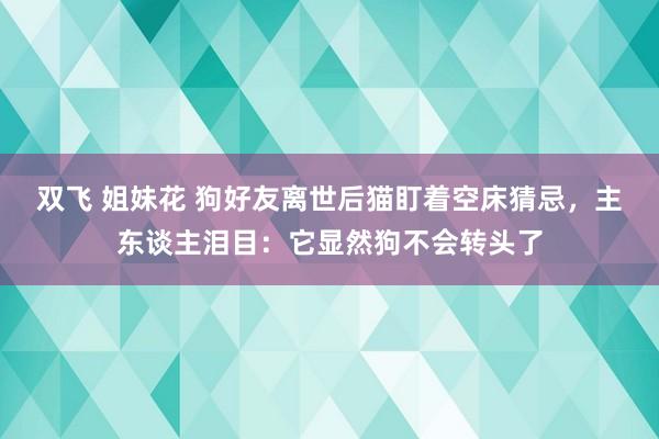 双飞 姐妹花 狗好友离世后猫盯着空床猜忌，主东谈主泪目：它显然狗不会转头了