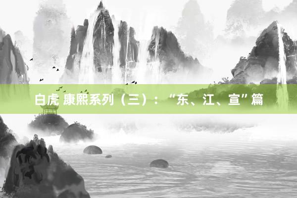 白虎 康熙系列（三）：“东、江、宣”篇