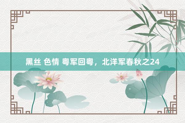 黑丝 色情 粤军回粤，北洋军春秋之24