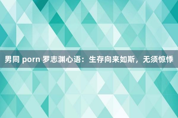 男同 porn 罗志渊心语：生存向来如斯，无须惊悸