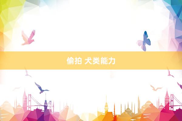偷拍 犬类能力