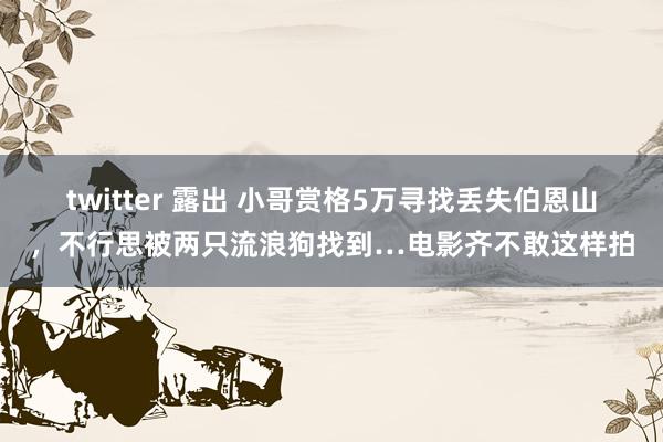 twitter 露出 小哥赏格5万寻找丢失伯恩山，不行思被两只流浪狗找到…电影齐不敢这样拍