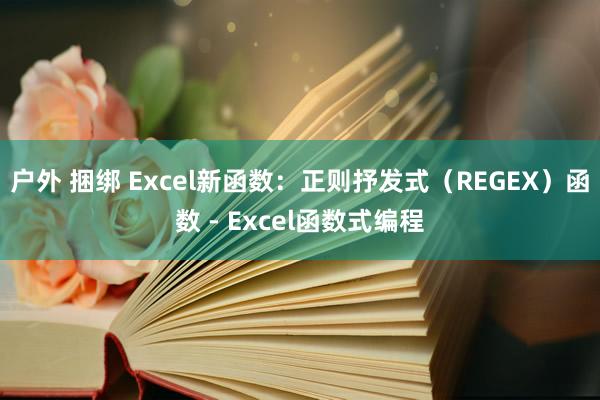 户外 捆绑 Excel新函数：正则抒发式（REGEX）函数 - Excel函数式编程