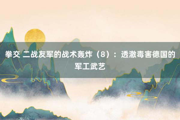 拳交 二战友军的战术轰炸（8）：透澈毒害德国的军工武艺