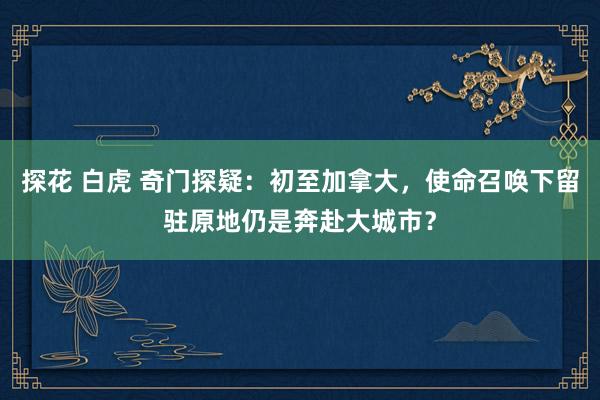 探花 白虎 奇门探疑：初至加拿大，使命召唤下留驻原地仍是奔赴大城市？