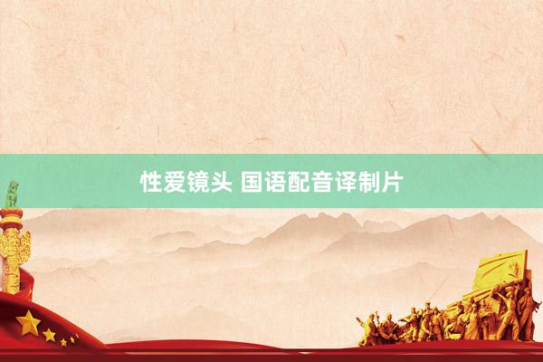 性爱镜头 国语配音译制片